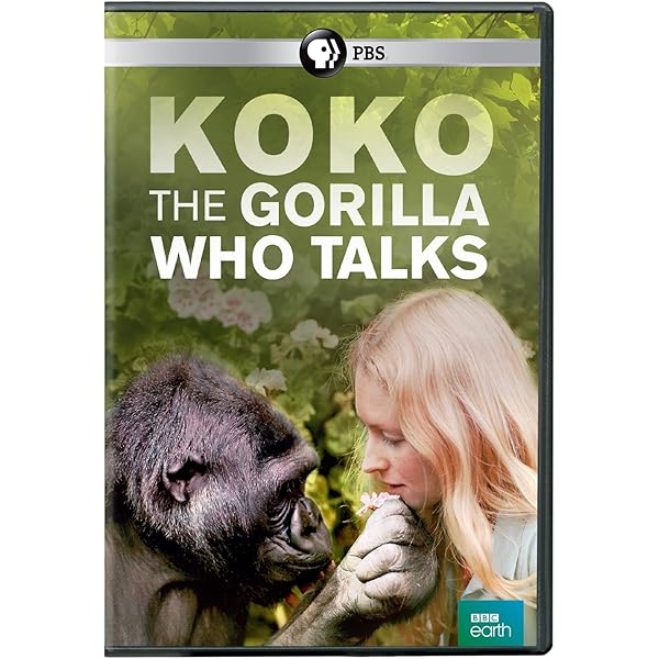その他 Nature: Koko - Conversation With Koko [DVD] Nature: Koko - Conversation With Koko [Dvd] | eBay
